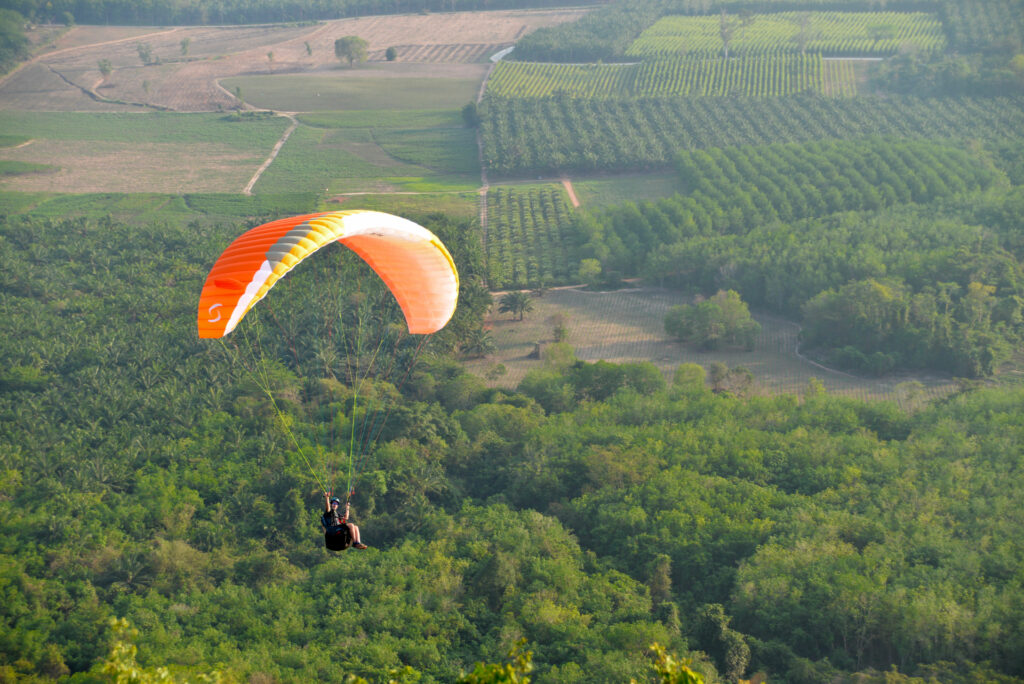 EONA 4 colors Oasis in flight