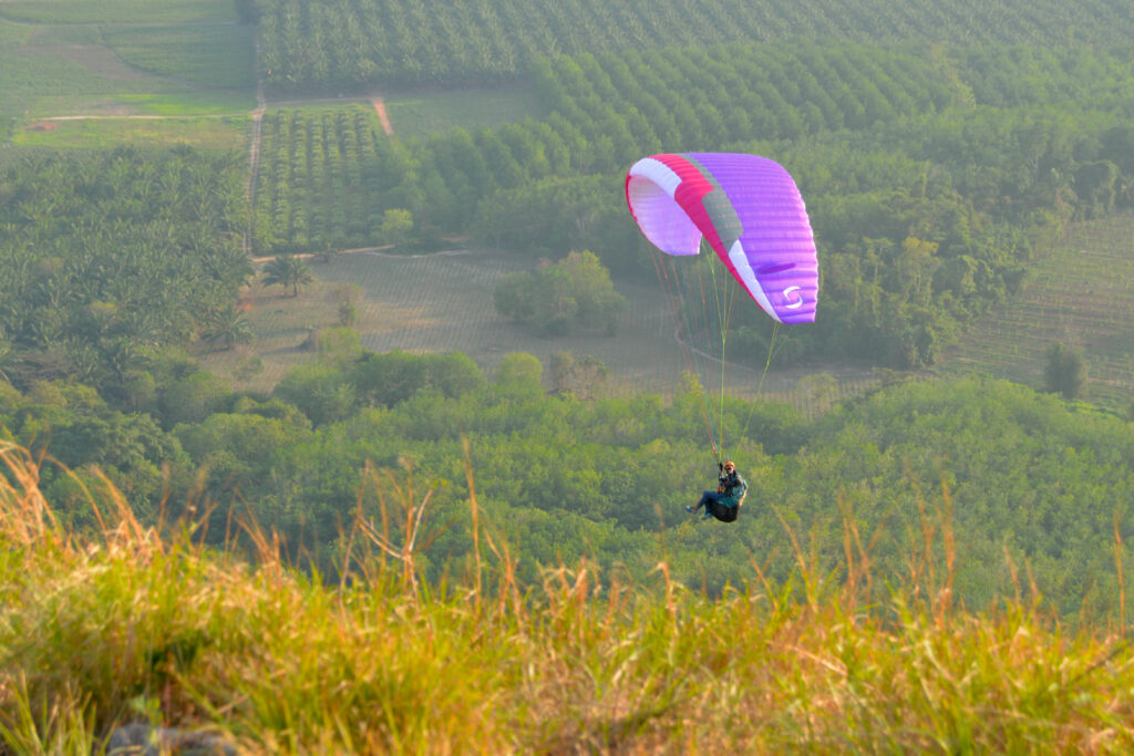 EONA 4 Lilac colors in flight
