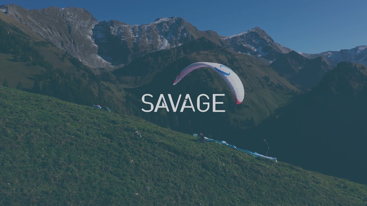 Miniature video SAVAGE